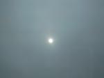 [341] Photo0029