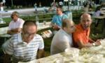 [537] Photo0246